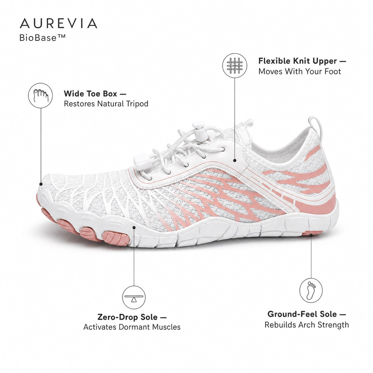 AUREVIA BioBase™