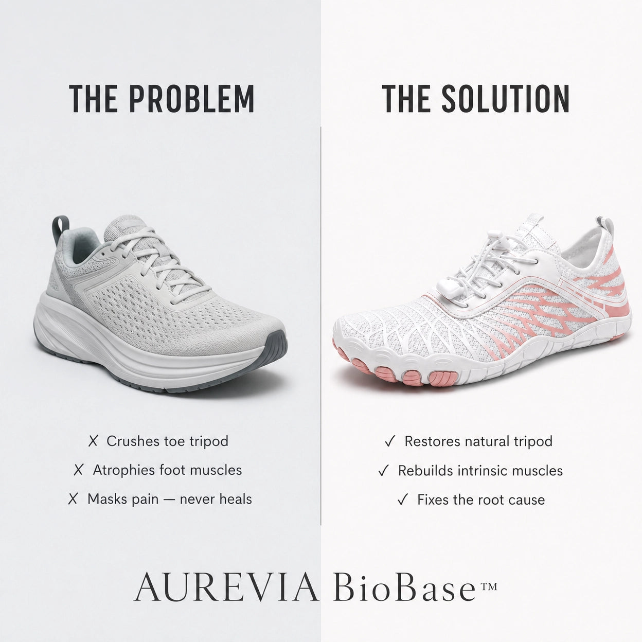 AUREVIA BioBase™