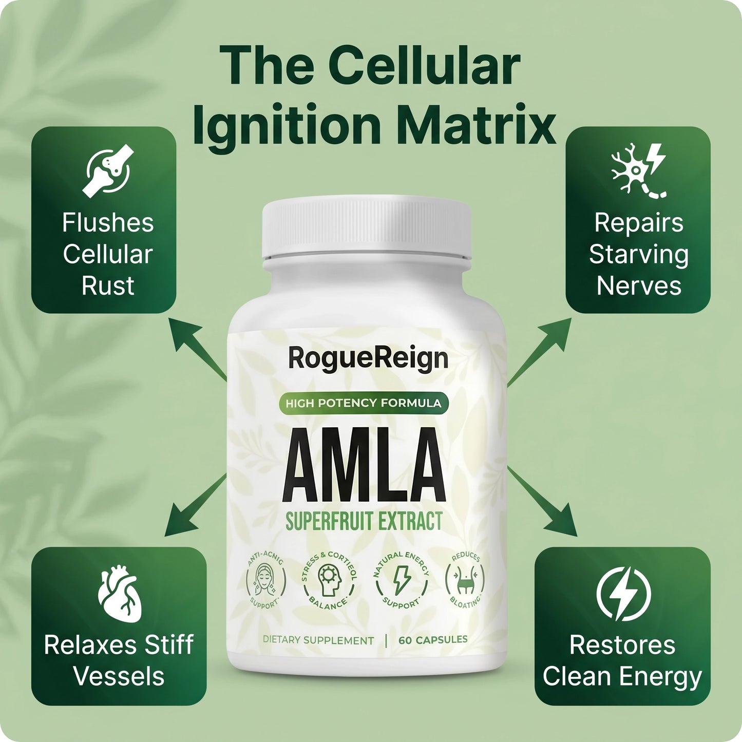 Amla Superfruit Capsules